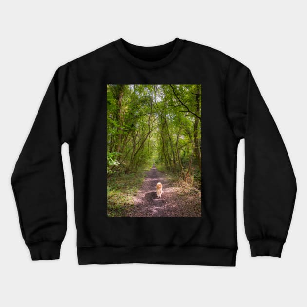 Woodland Walk Crewneck Sweatshirt by RJDowns